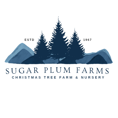 Sugar Plum Farms — NC Fraser Fir Christmas Trees & Nursery