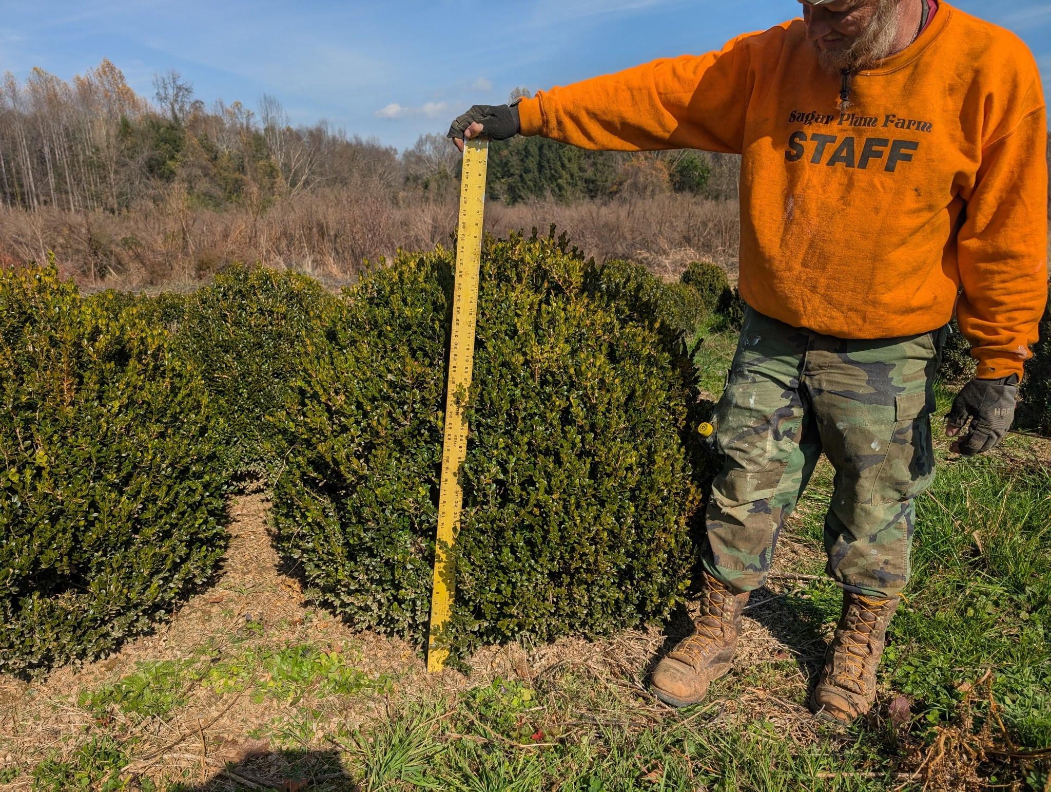 Working in the nursery at Sugar Plum Farms