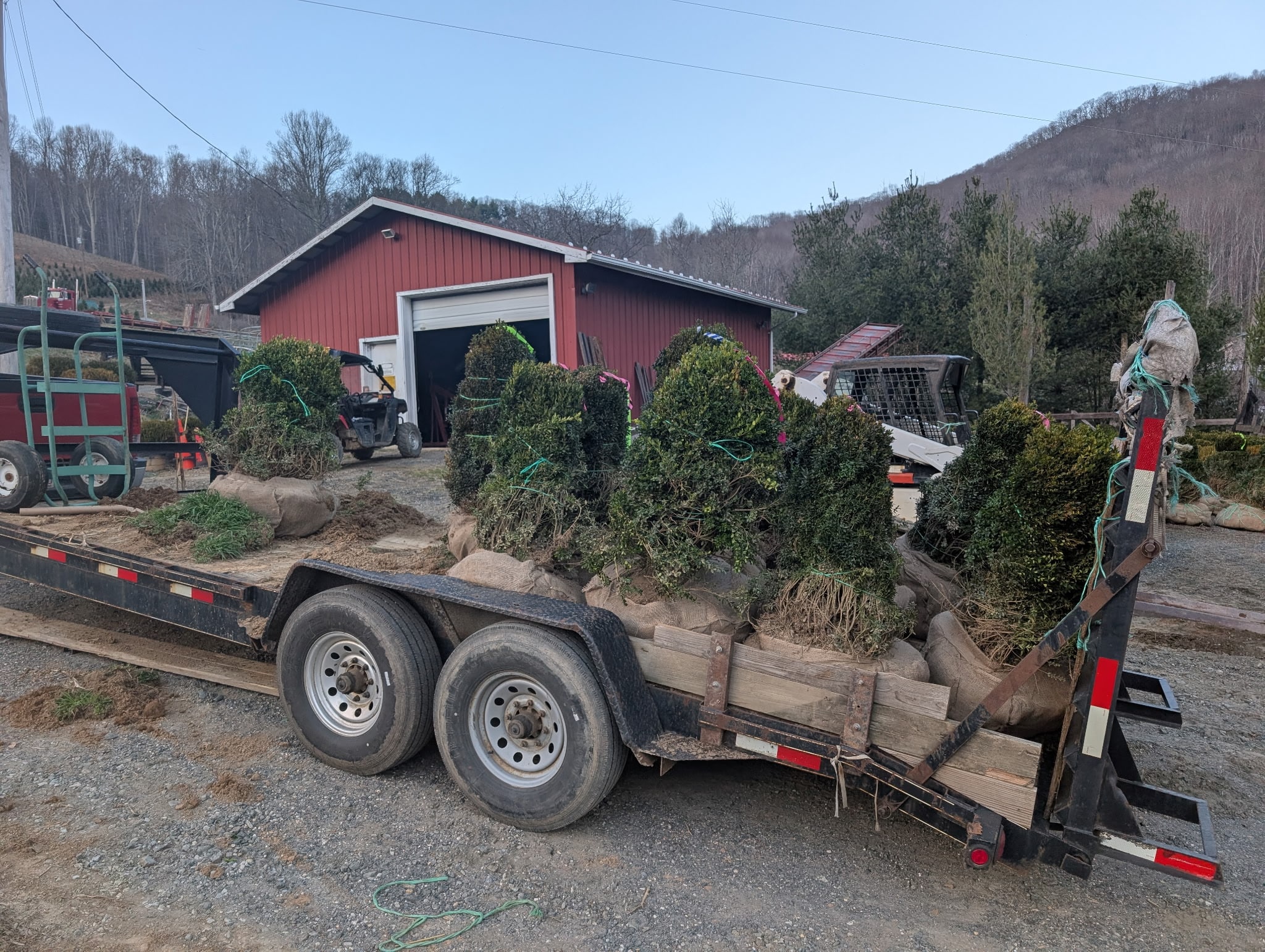 Nursery plants ready for delivery