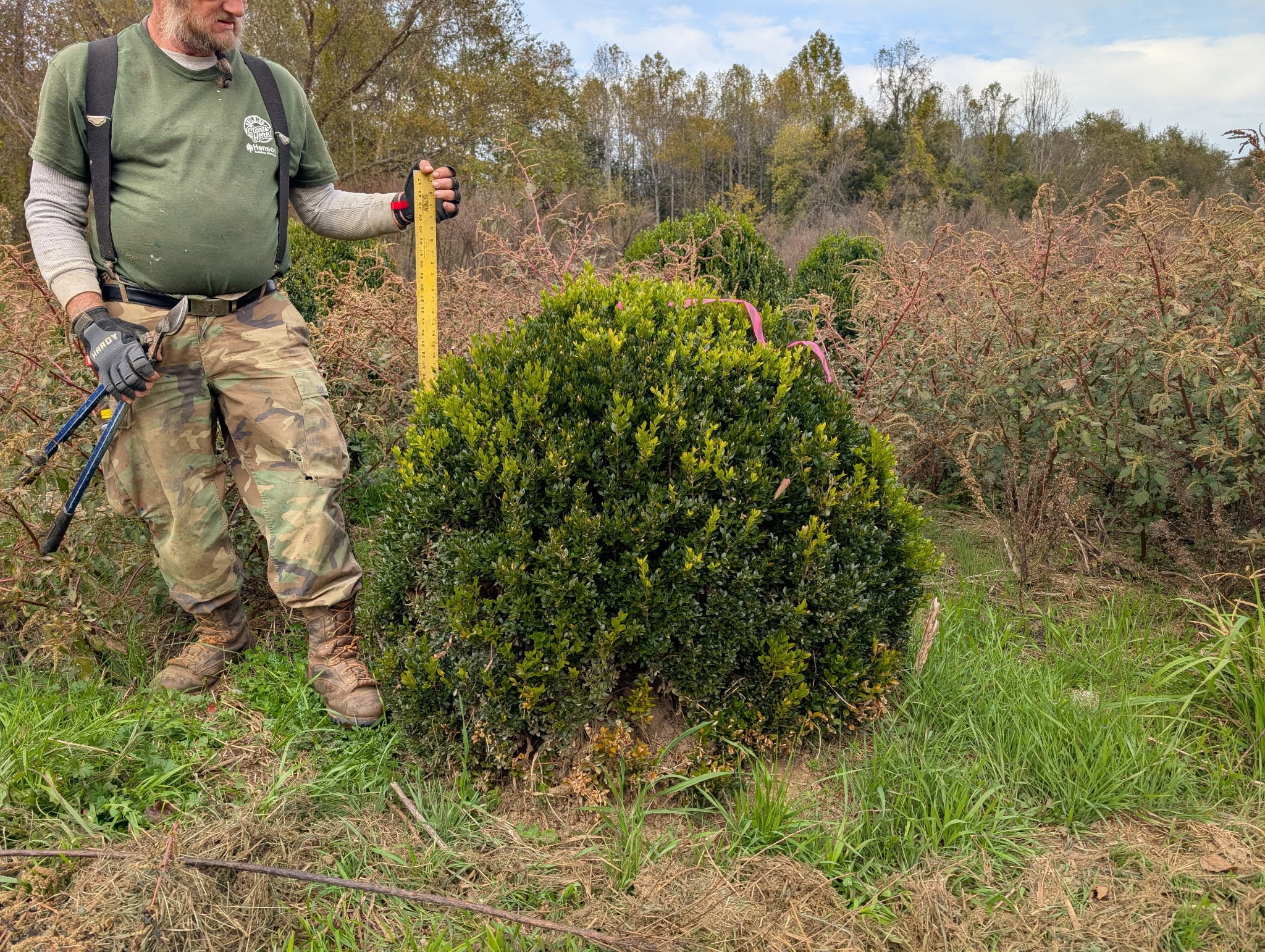 Checking nursery stock at Sugar Plum Farms