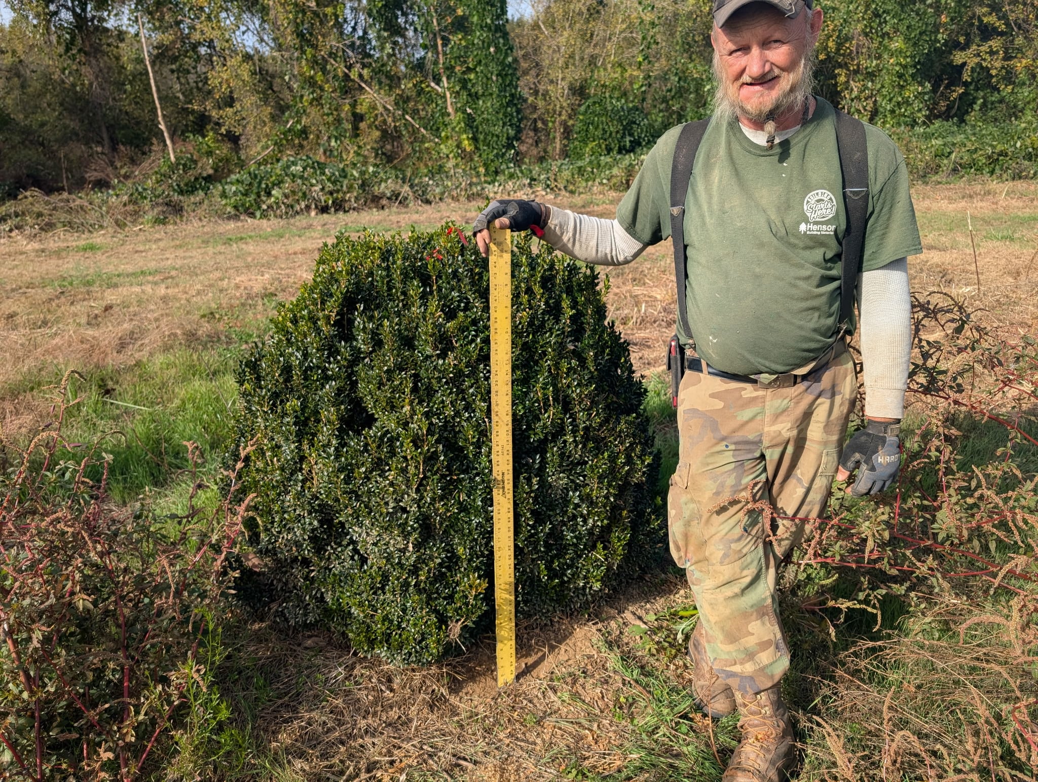 Grading nursery stock in the field