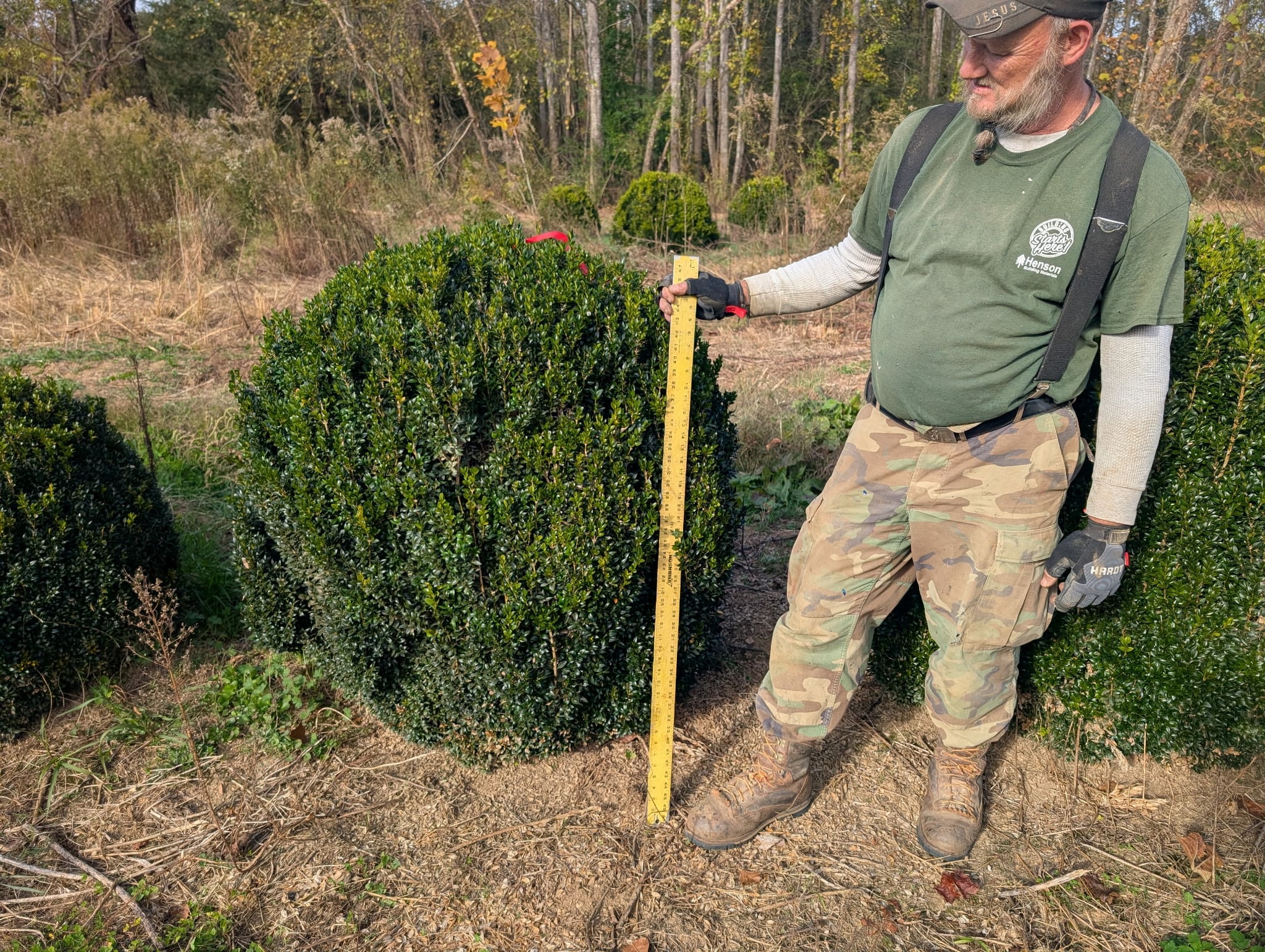 Field work at Sugar Plum Farms nursery