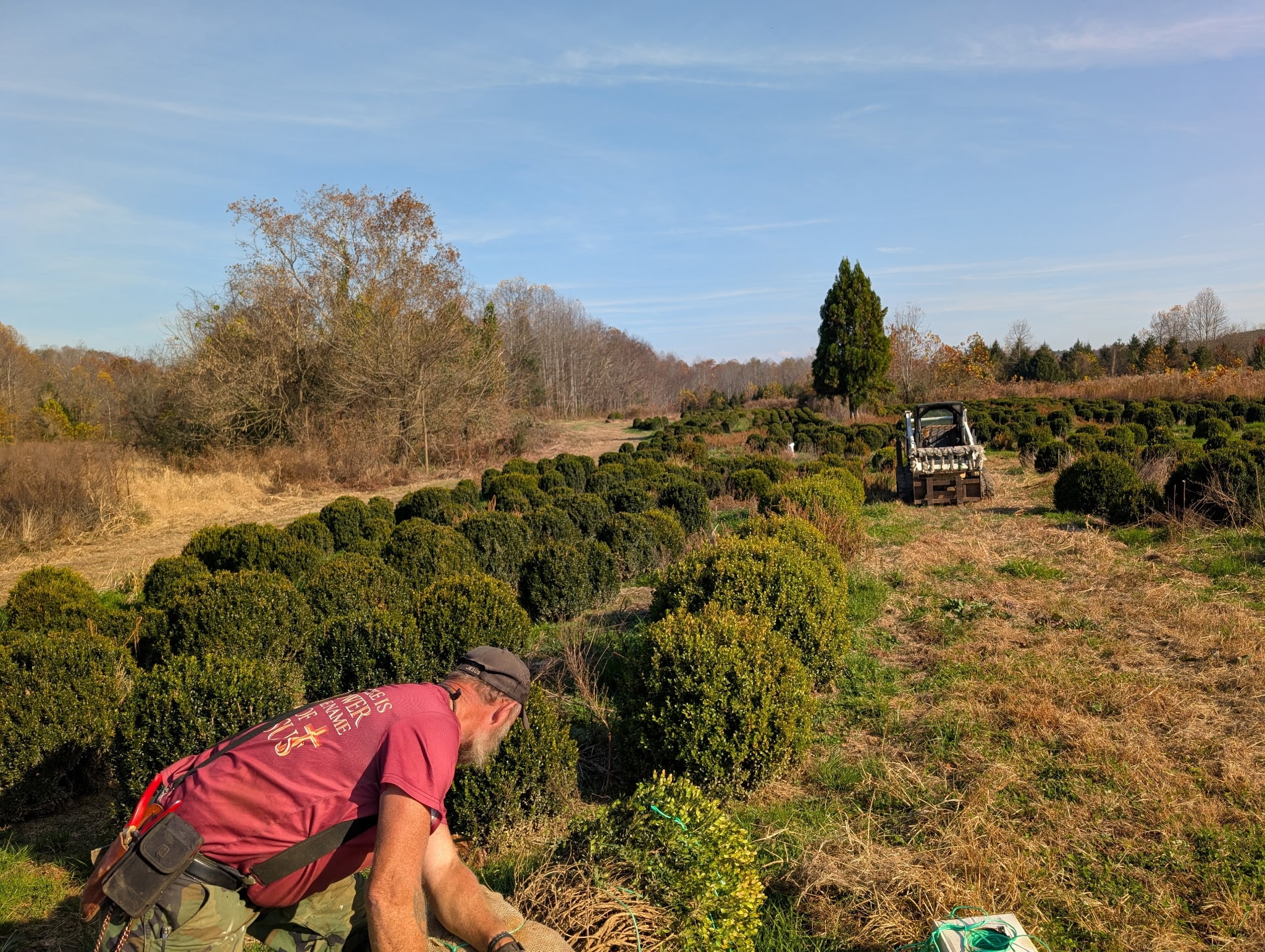 Working in the nursery field