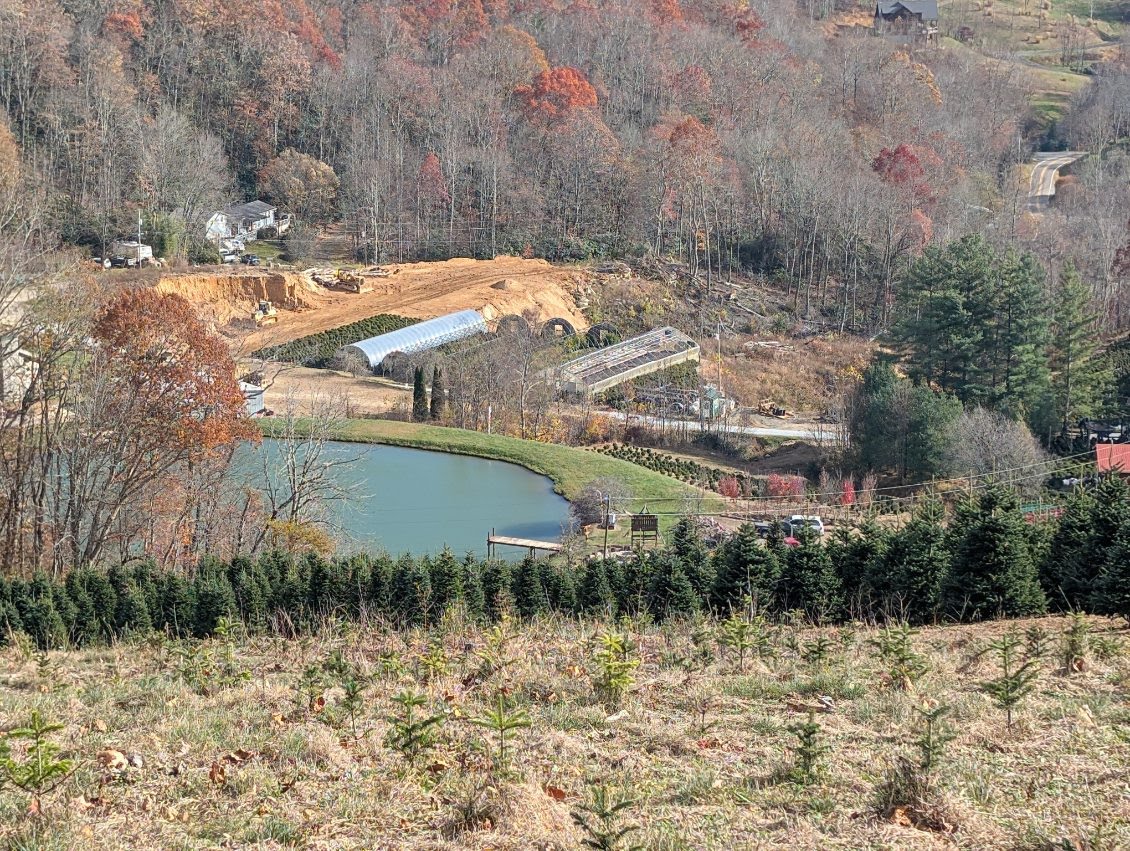 Looking down from the Christmas tree hillside toward the farm