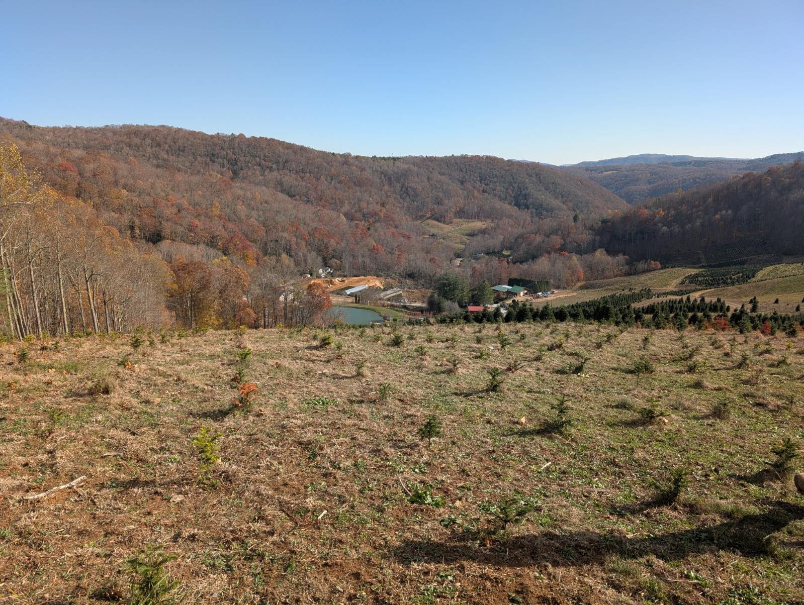 Looking down the mountain valley from the Christmas tree hillside