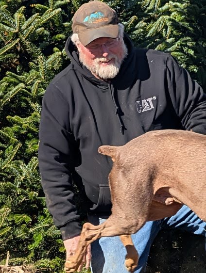 Among the Fraser firs at Sugar Plum Farms